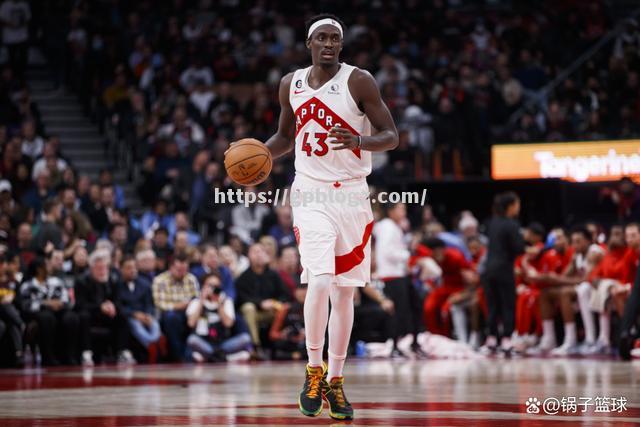 猛龙轻取对手,实力稳固 猛龙轻取对手,实力稳固