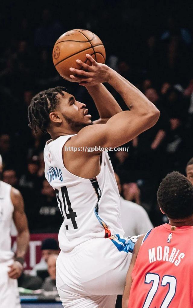 篮网战胜毒蛇，取得胜利