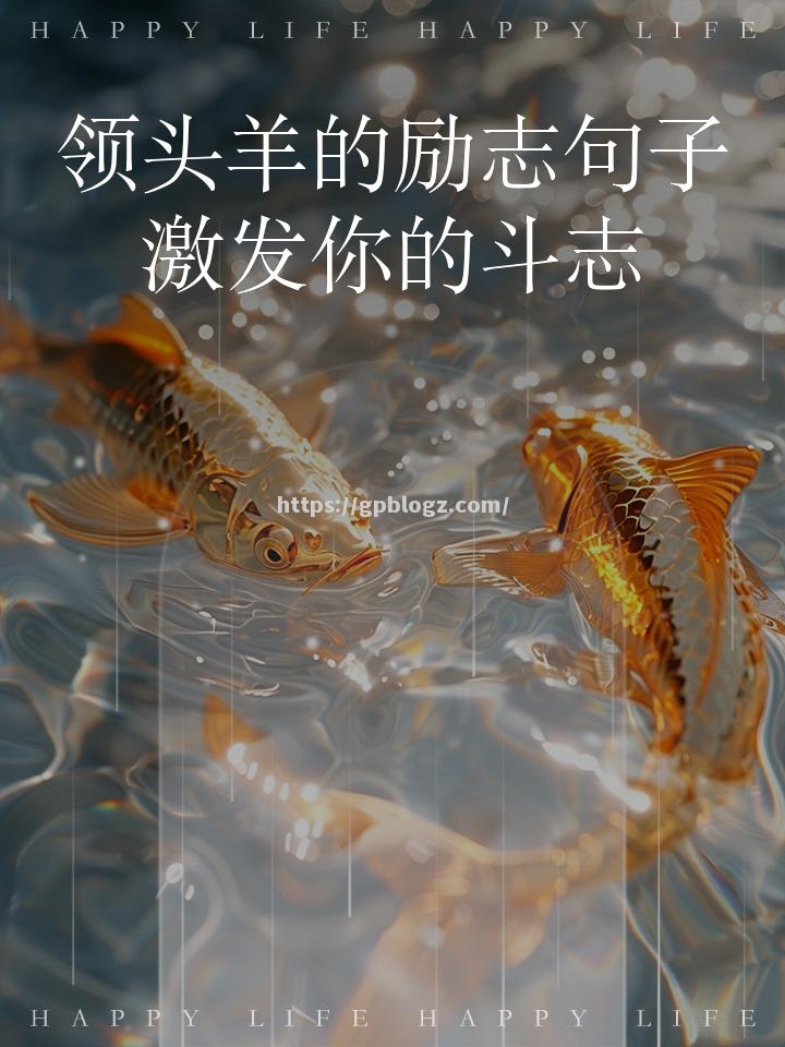 大连人民拼搏斗志，追赶领头羊