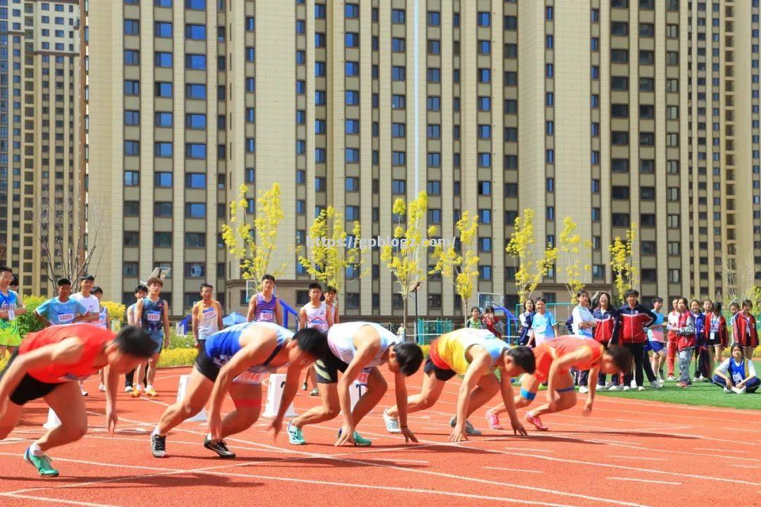 燃情奋斗的运动员们,赛场上的惊艳表现 燃情奋斗的运动员们,赛场上的惊艳表现