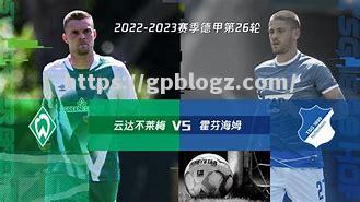 摩纳哥领跑队容反超大将霍芬海姆