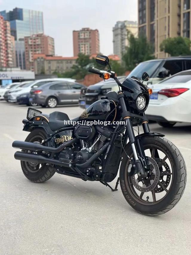 哈雷-尤利正在考虑未来几年的发展