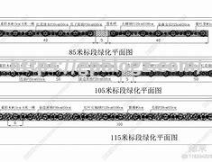 马洛卡遇冷客战失利，褴褛失色